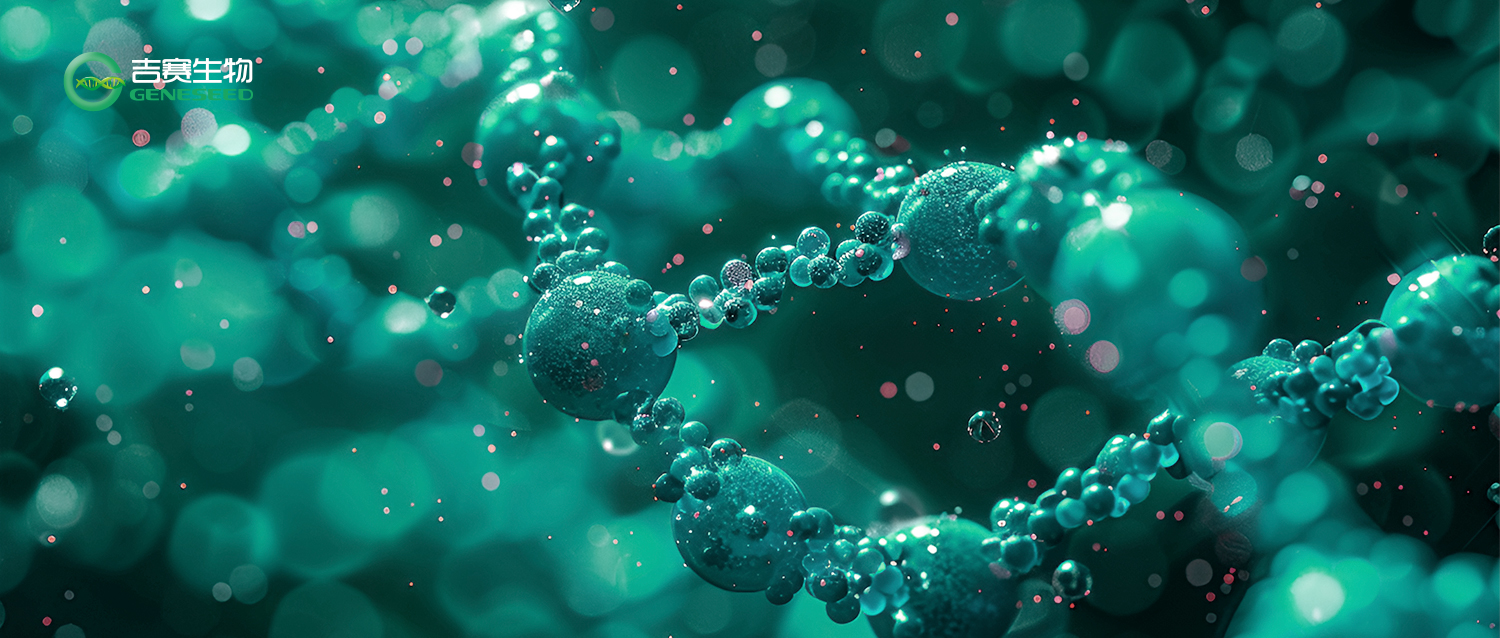 国际认可！9428cn太阳集团古天乐环状RNA合成技术斩获美国发明专利授权