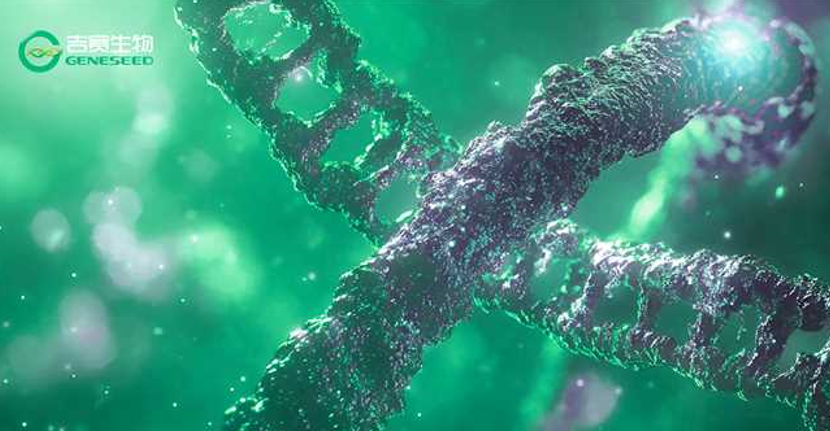 分子互作数据库/预测工具+验证神器，高效锁定候选靶标，告别徒手大海捞针！