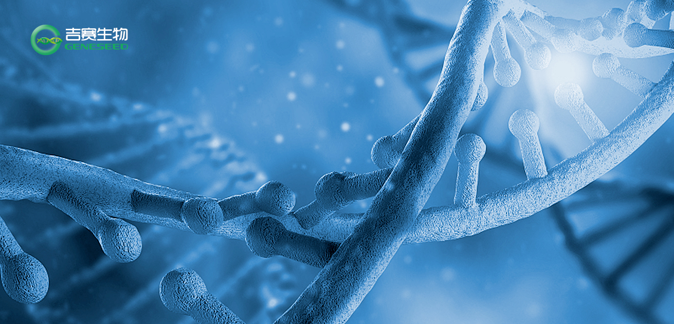 关于RIP技术，你想知道的都在这儿 ↓ ↓ ↓（附实验操作视频）