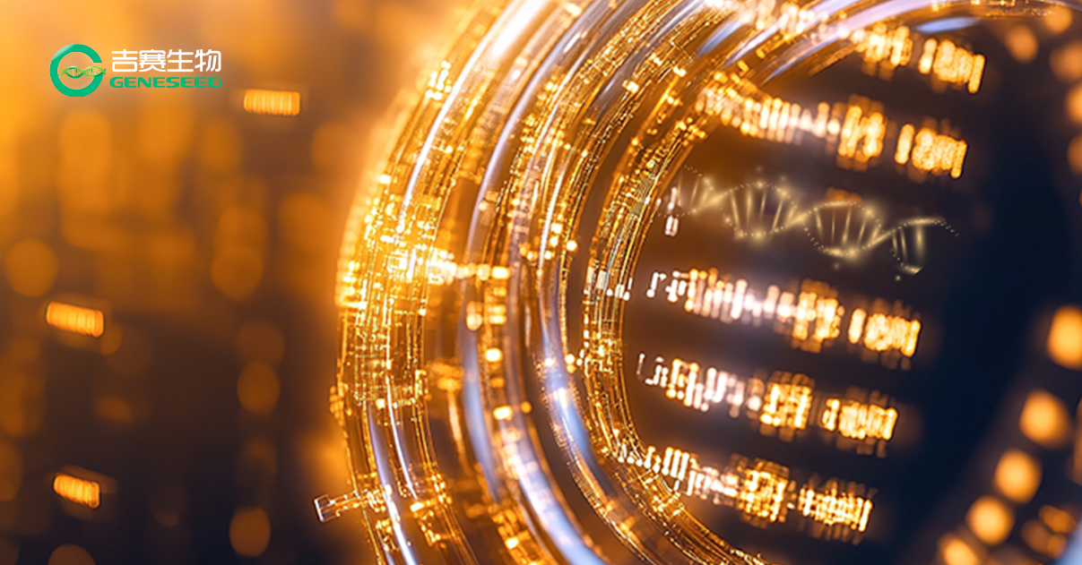 环环相扣，双核驱动：9428cn太阳集团古天乐环状单链DNA合成服务重磅上线！打造环状核酸多元化平台！