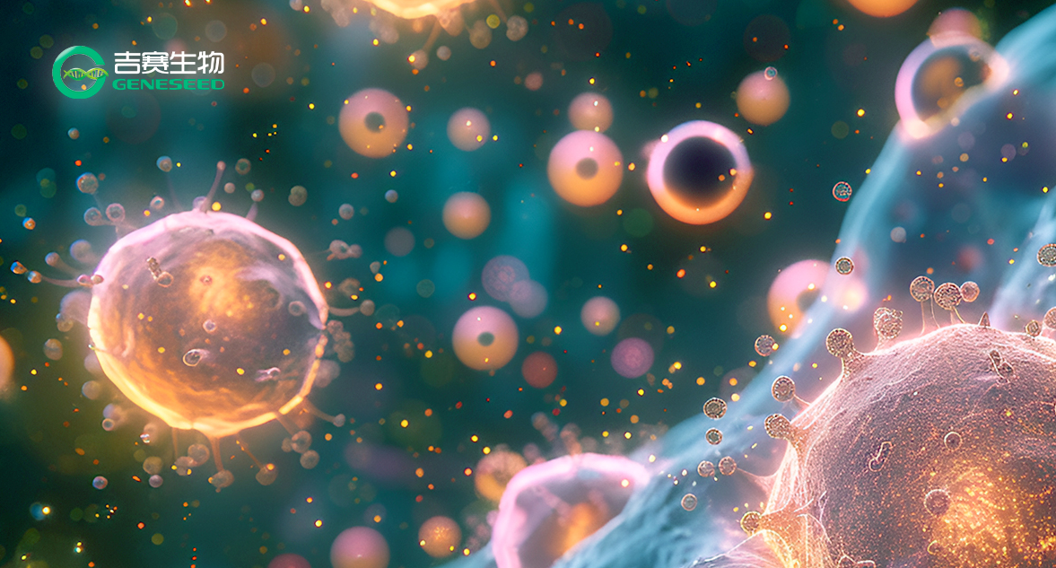 升级服务！单细胞全转录组测序，解锁circRNA的单细胞分辨率视野！